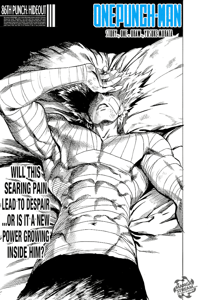 Read One Punch Man Manga Online