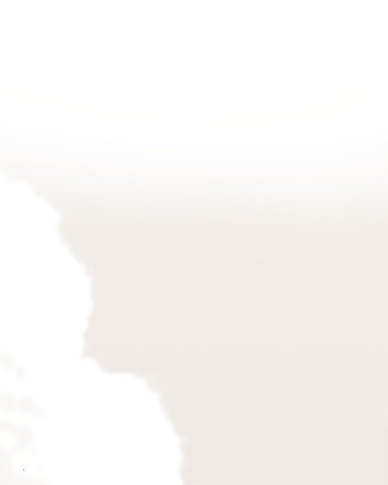 Read Regas Manga Online