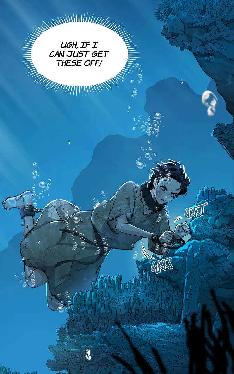 Read Seabird and the Wolf Manga Online