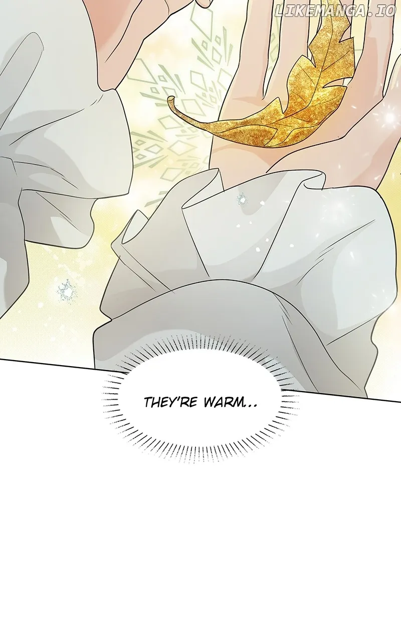 Read Seabird and the Wolf Manga Online