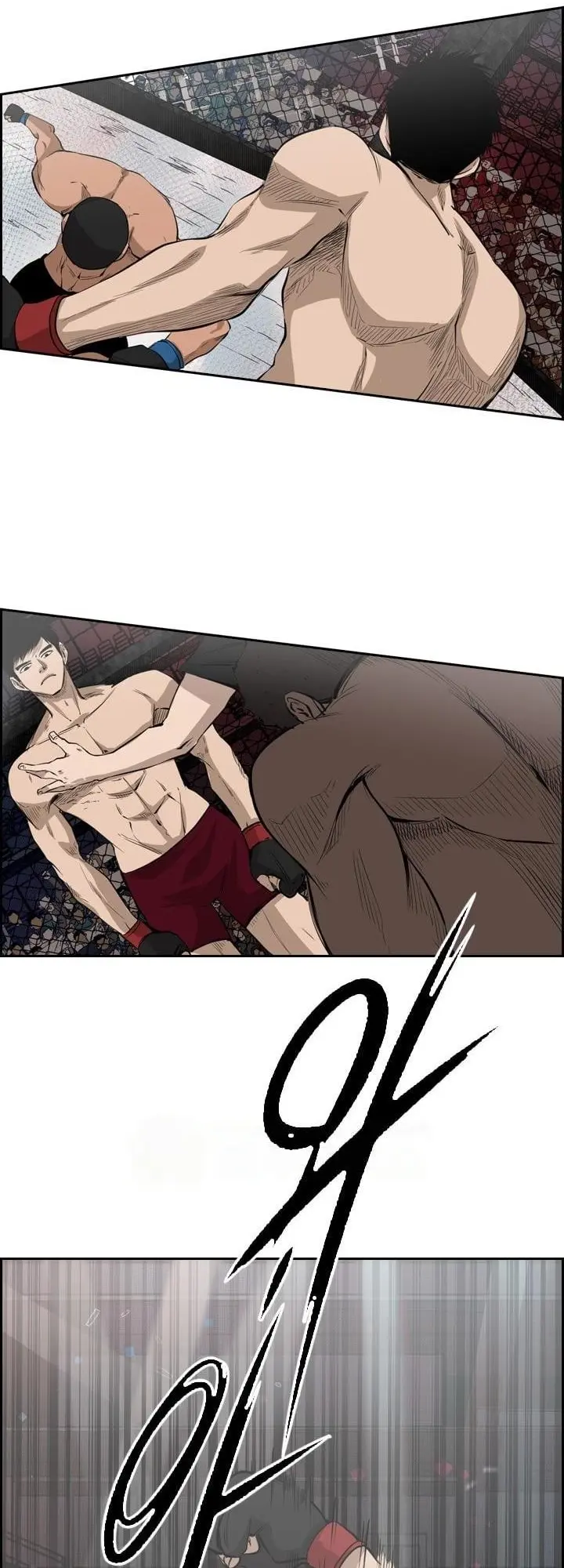 Read Shark Manga Online