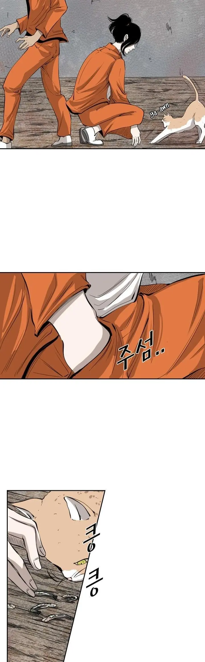 Read Shark Manga Online