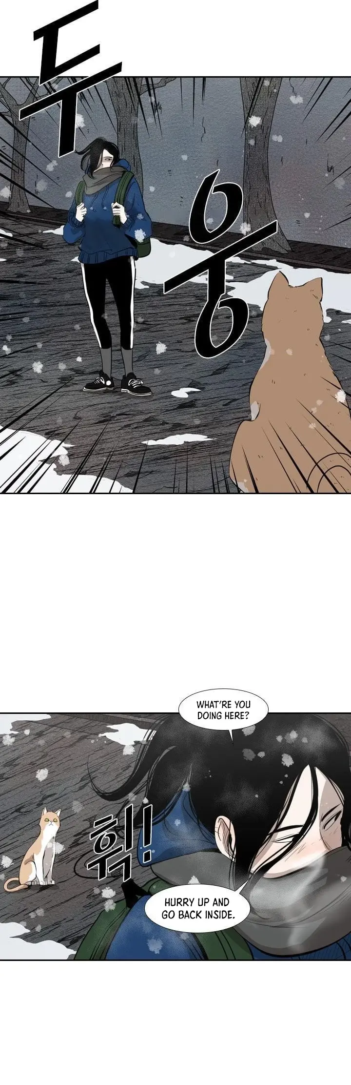 Read Shark Manga Online