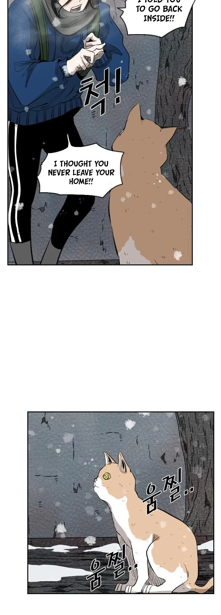 Read Shark Manga Online