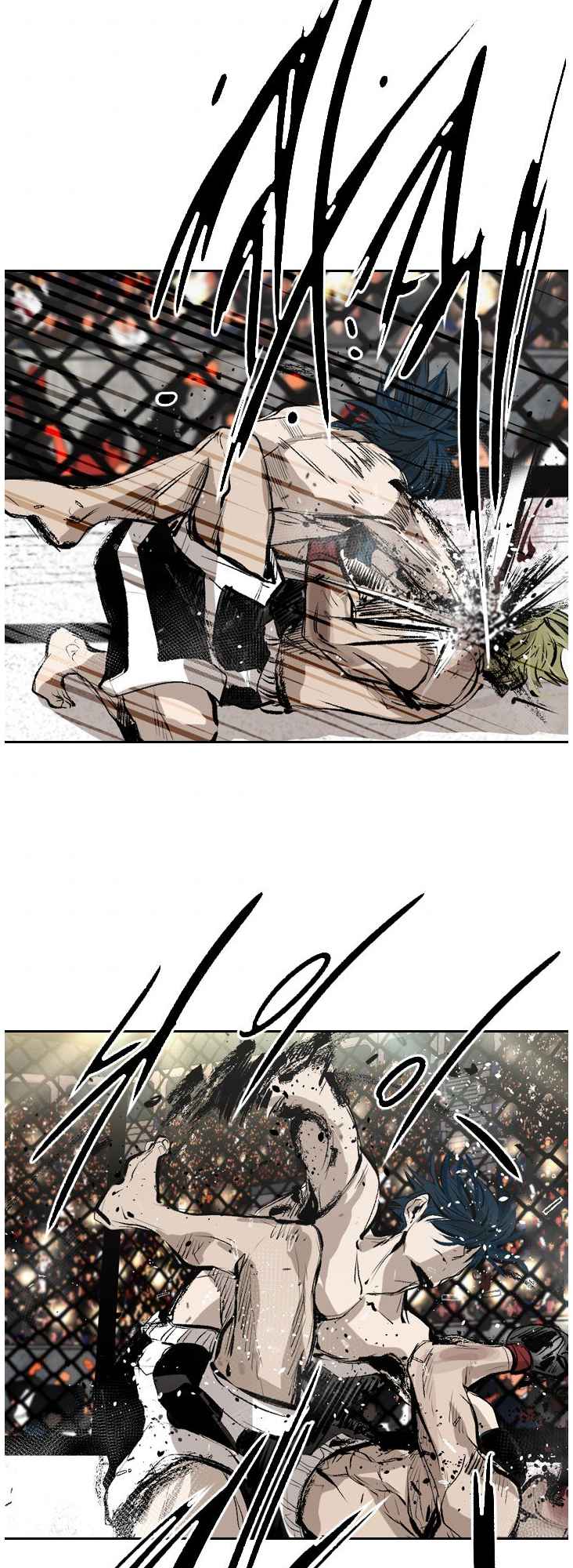 Read Shark Manga Online