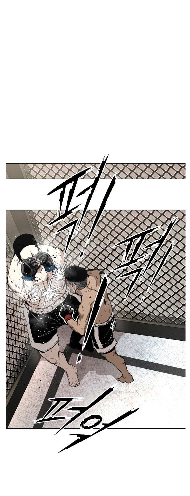 Read Shark Manga Online
