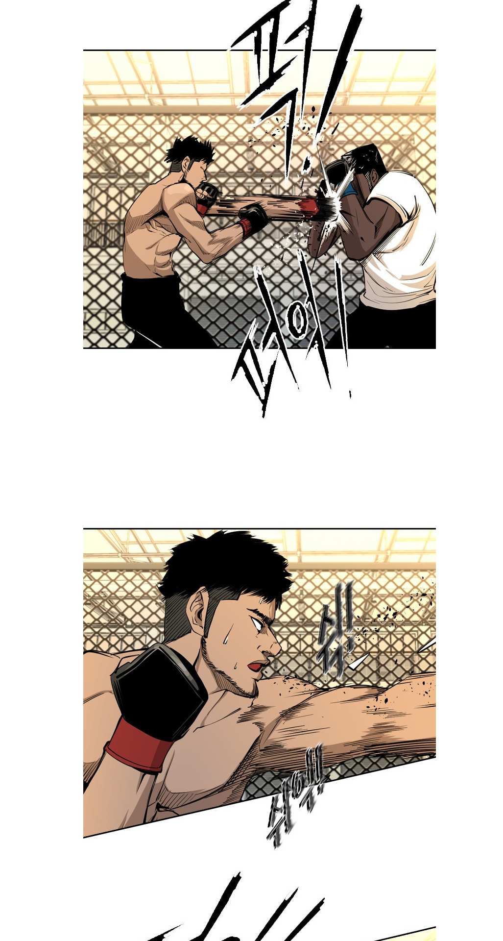 Read Shark Manga Online
