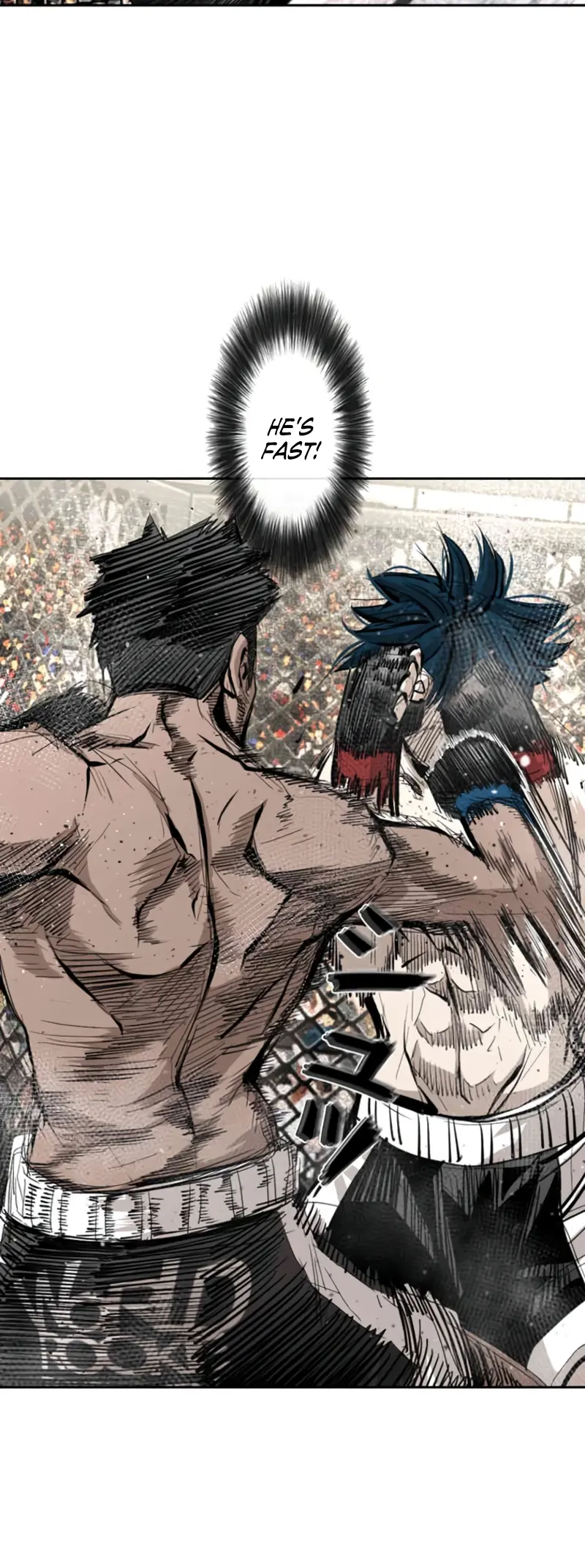 Read Shark Manga Online