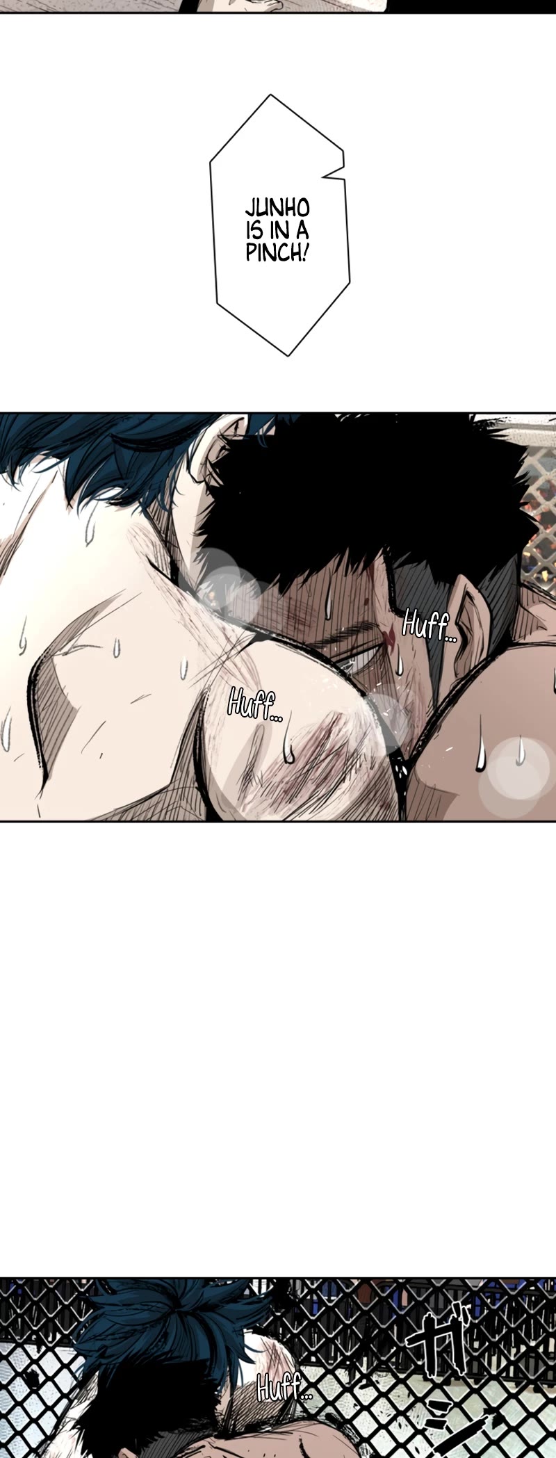 Read Shark Manga Online