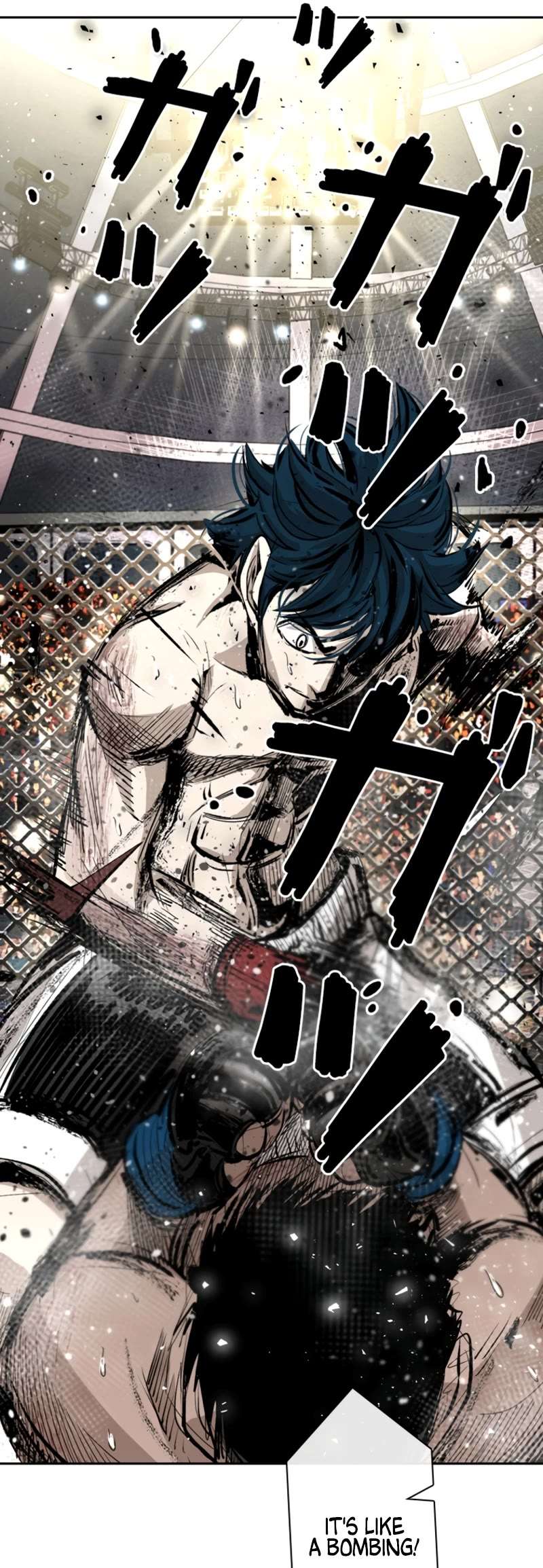 Read Shark Manga Online
