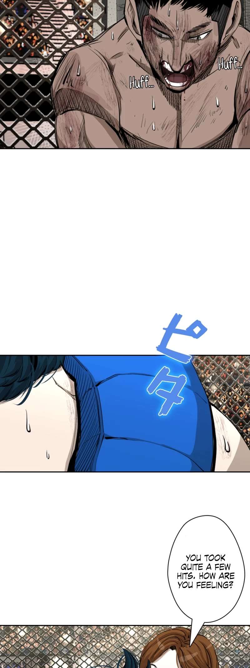 Read Shark Manga Online