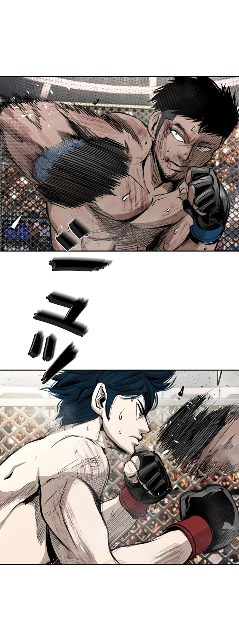 Read Shark Manga Online