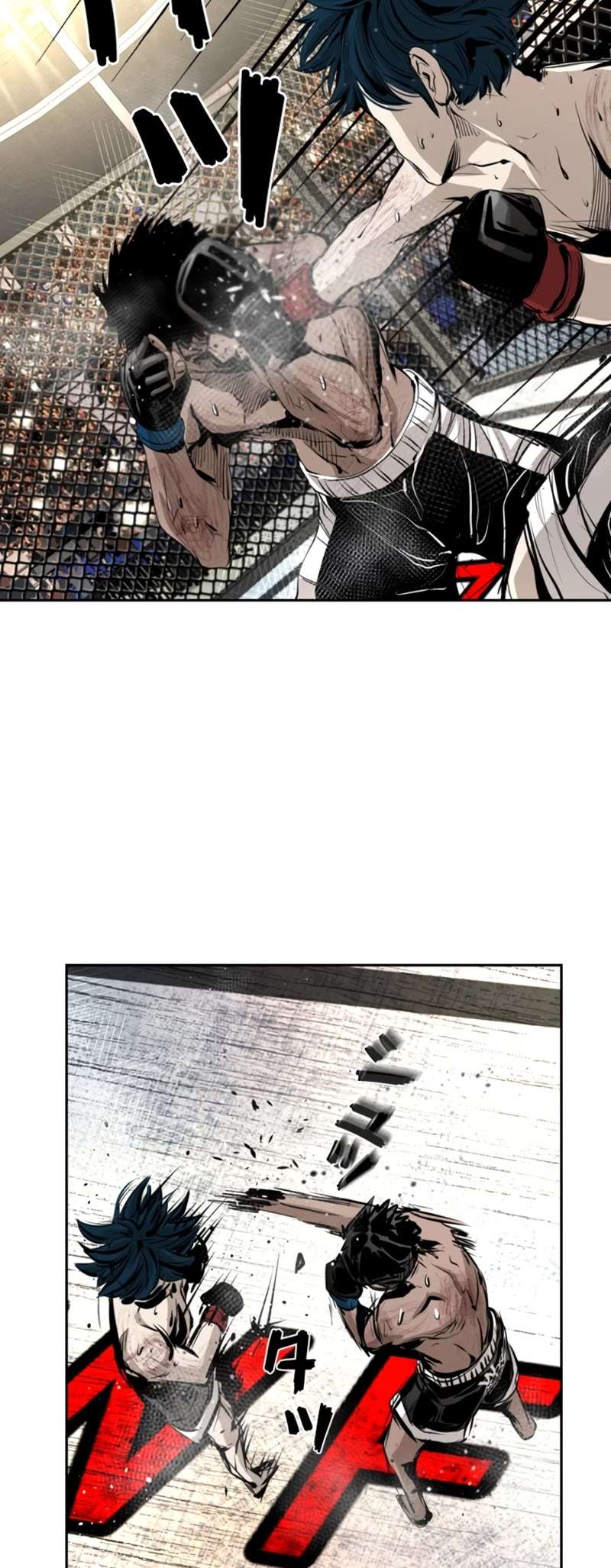Read Shark Manga Online
