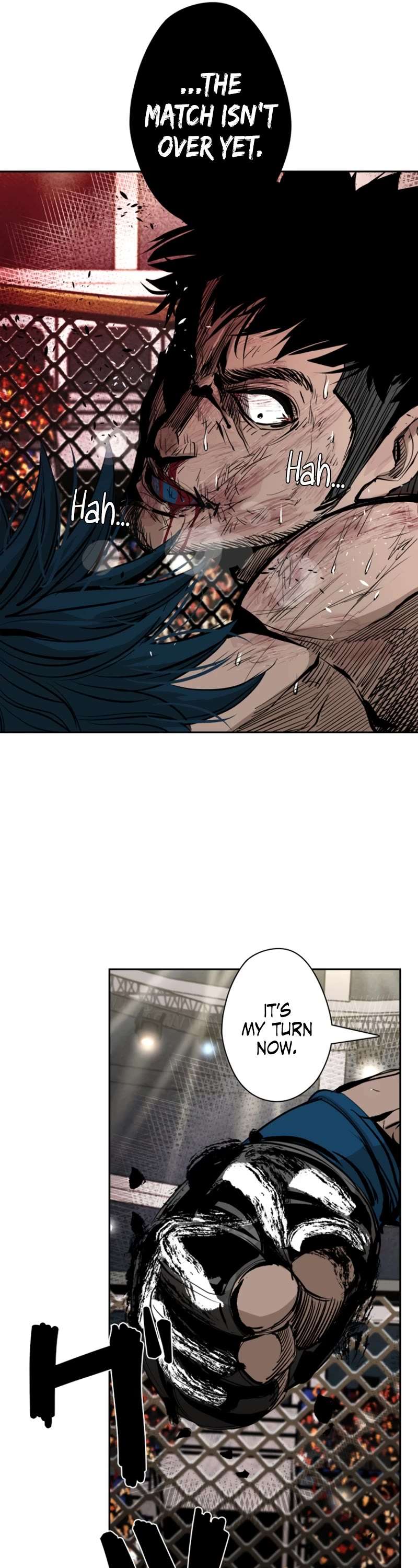 Read Shark Manga Online