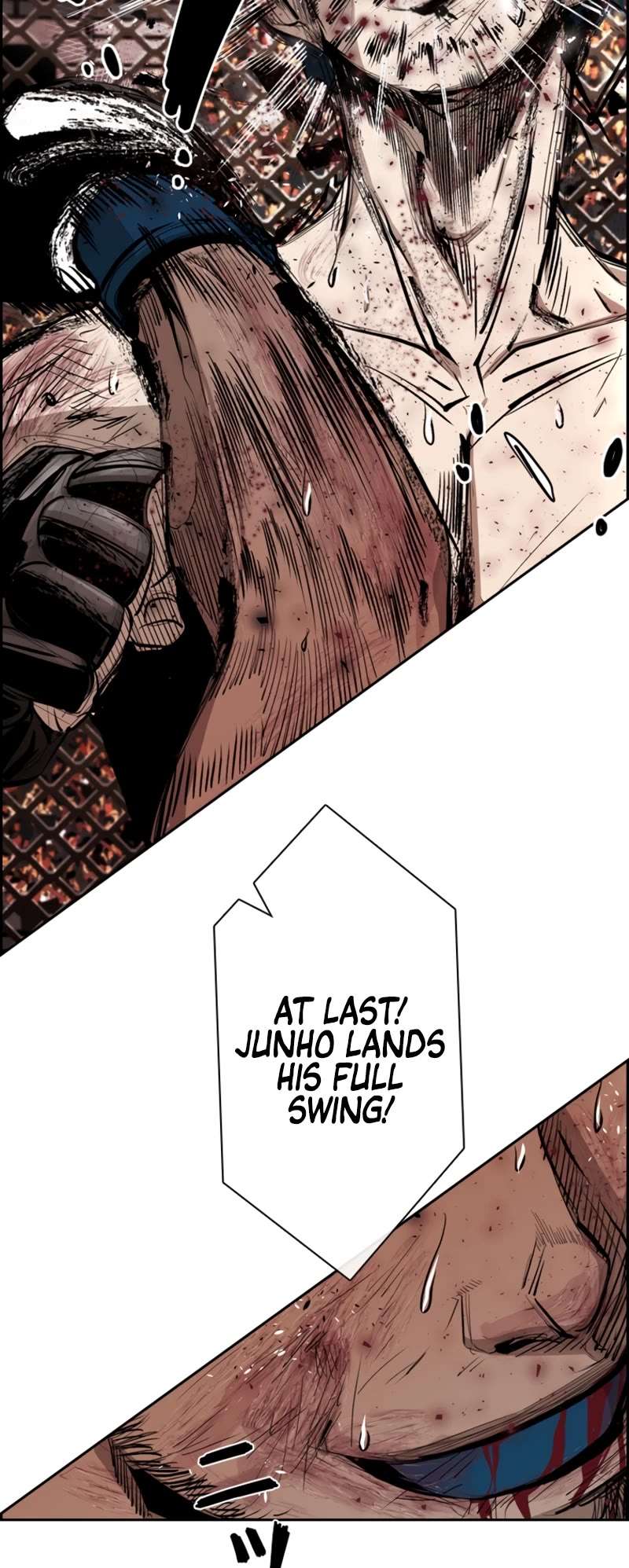 Read Shark Manga Online