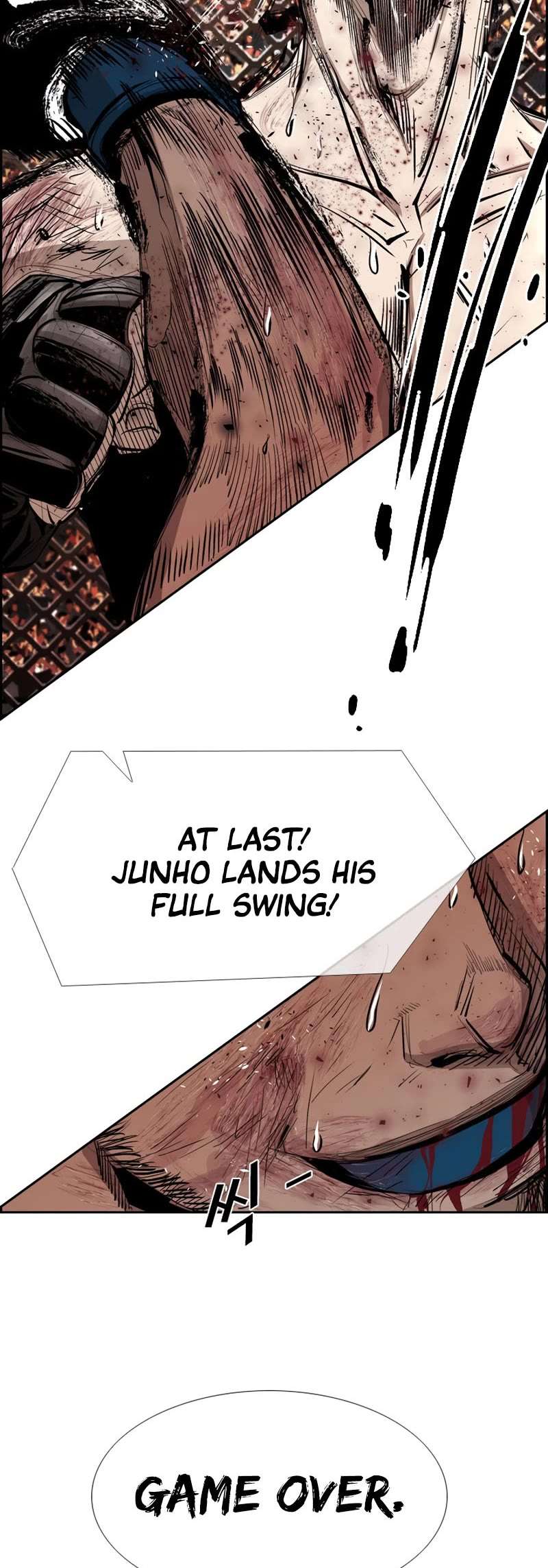 Read Shark Manga Online