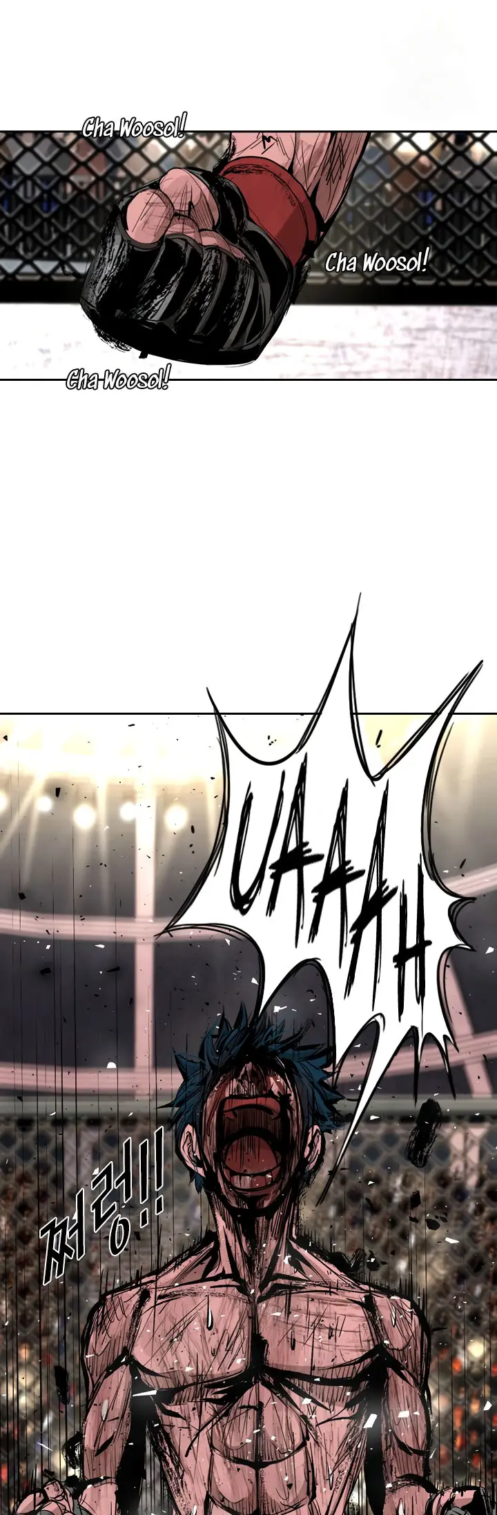 Read Shark Manga Online