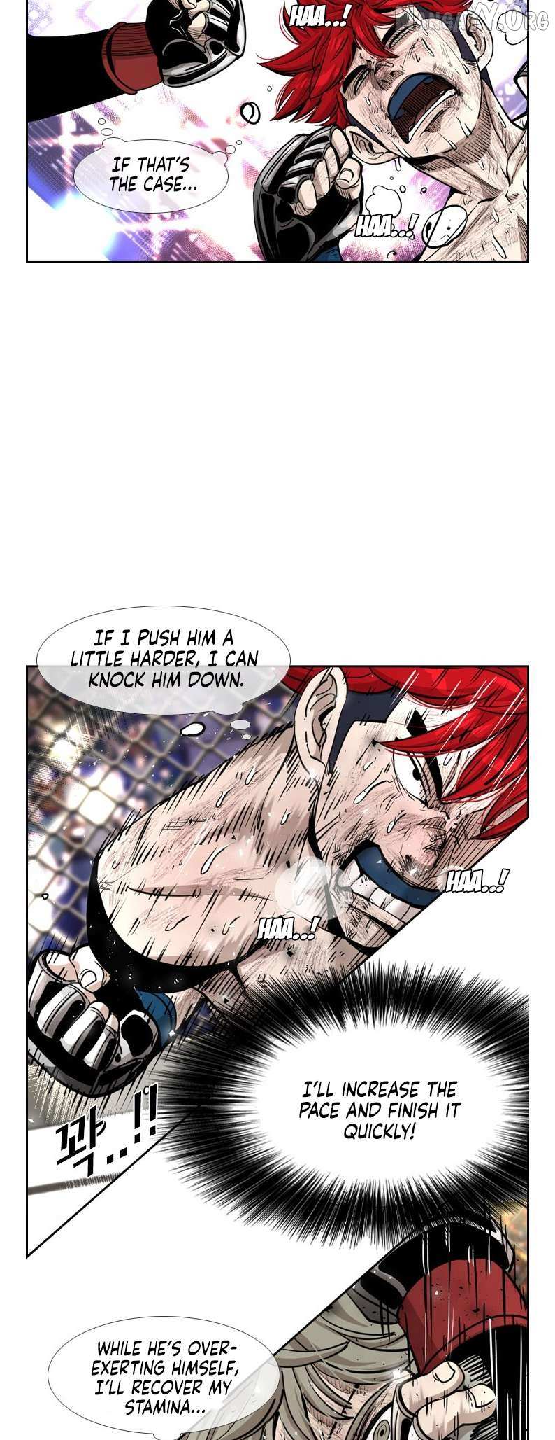 Read Shark Manga Online
