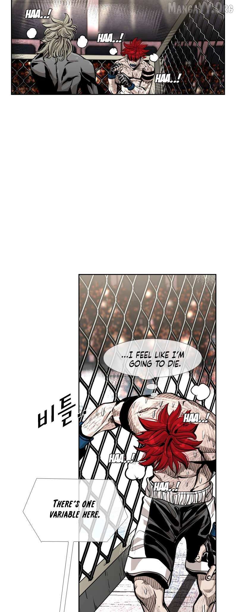 Read Shark Manga Online
