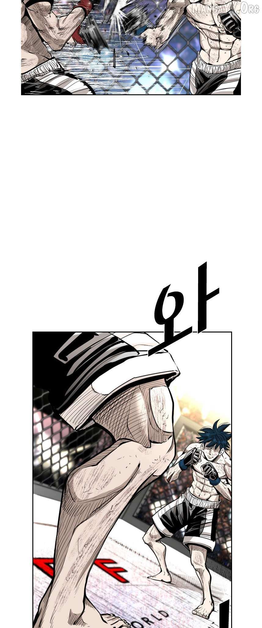 Read Shark Manga Online