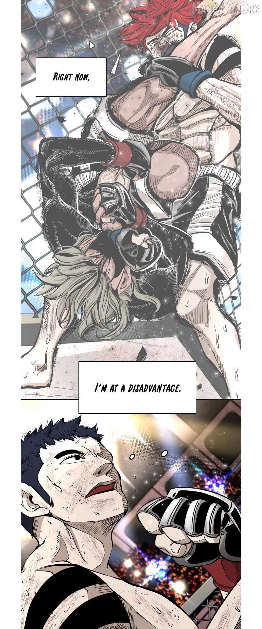 Read Shark Manga Online