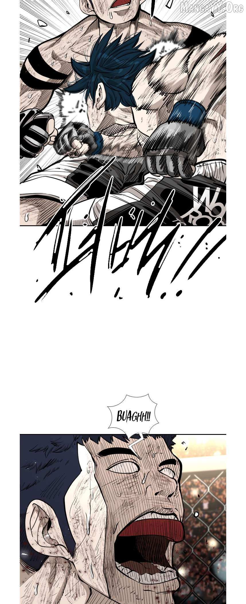 Read Shark Manga Online