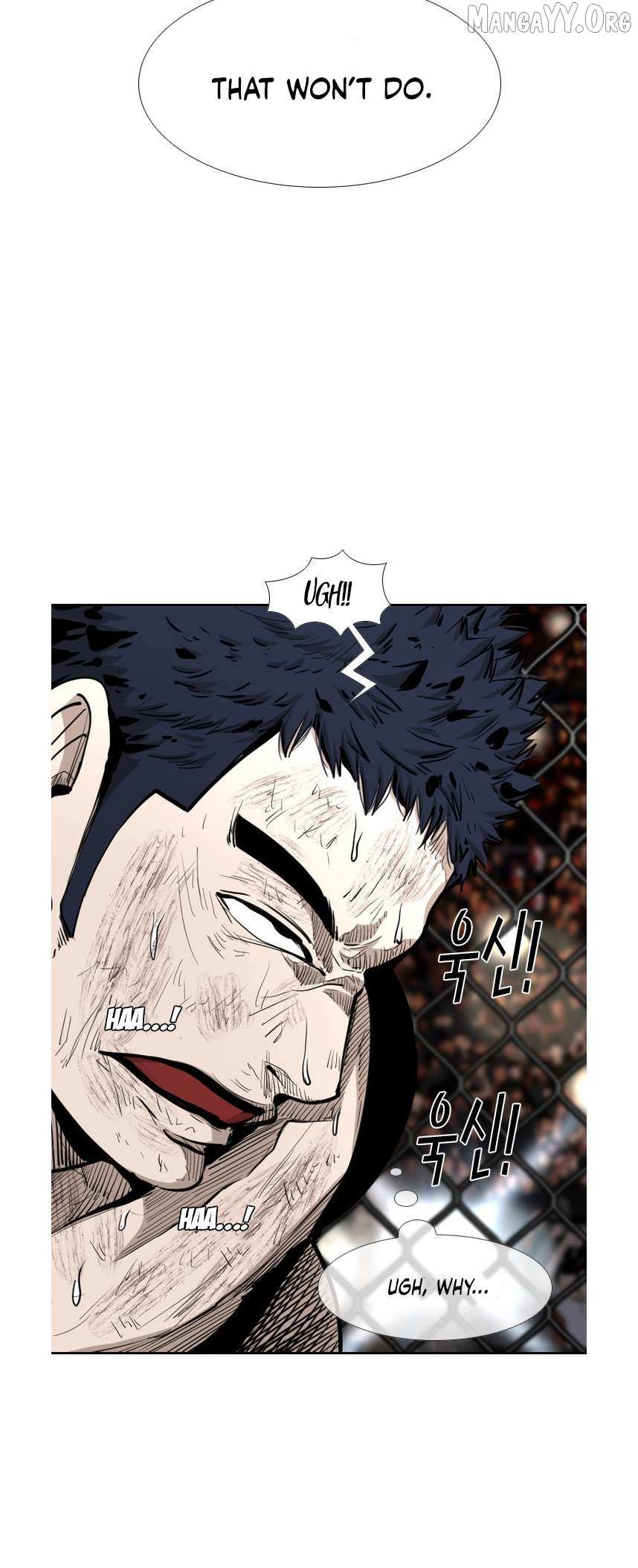 Read Shark Manga Online