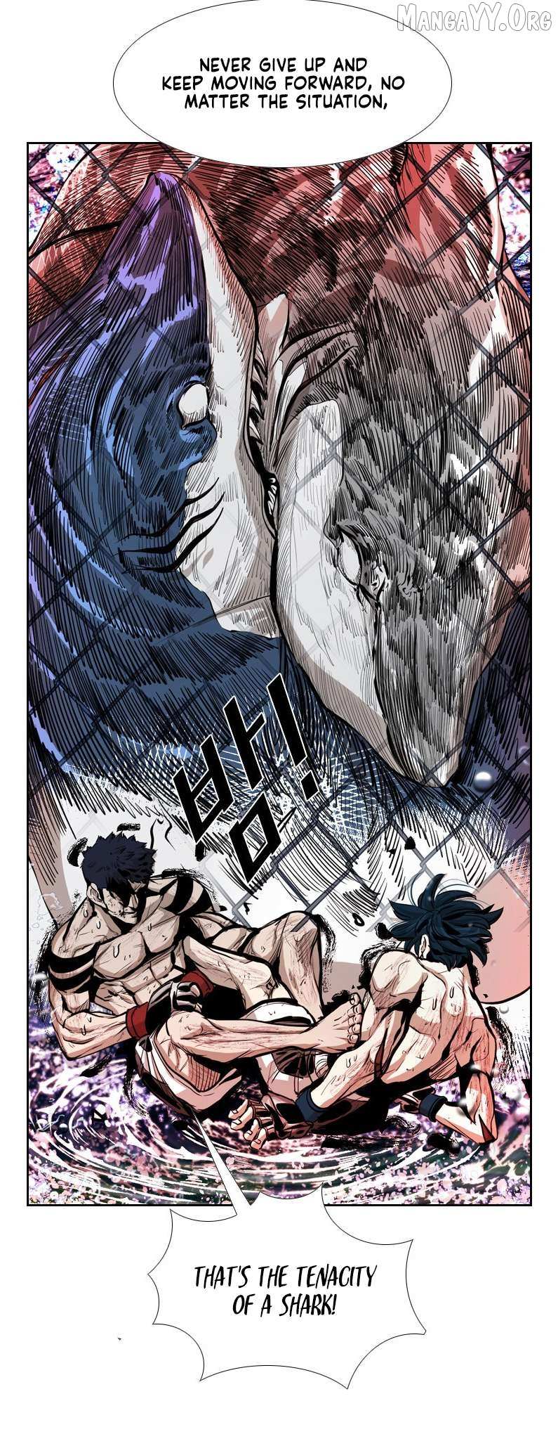 Read Shark Manga Online