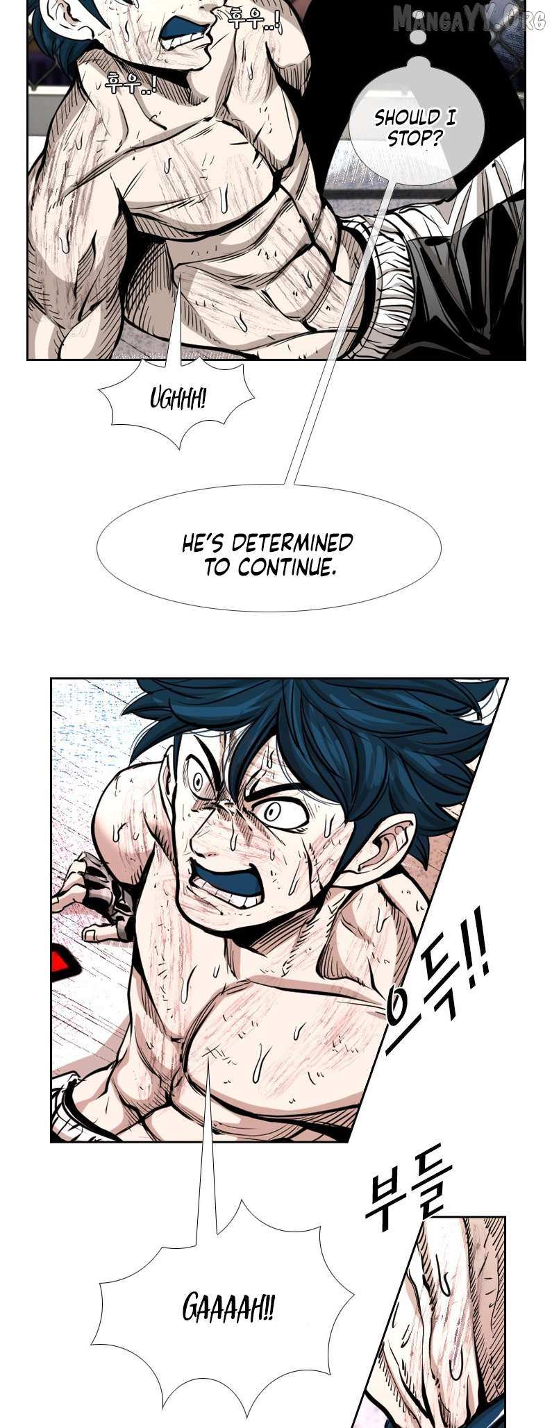 Read Shark Manga Online