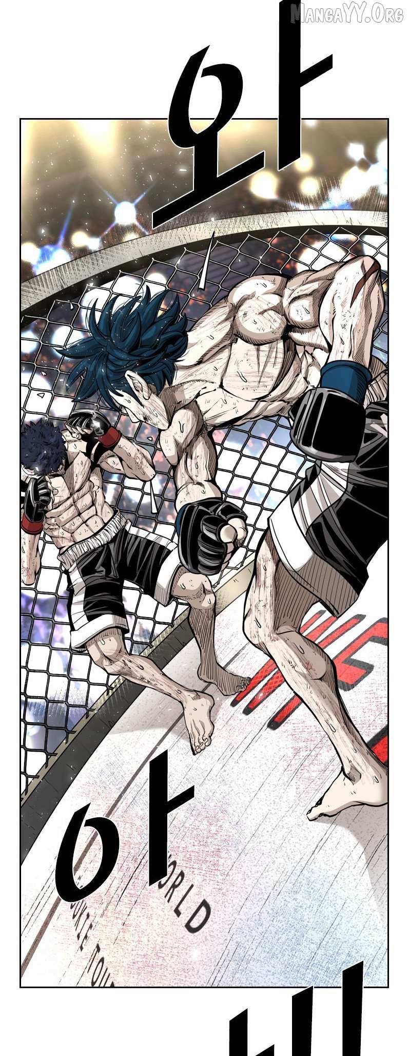 Read Shark Manga Online