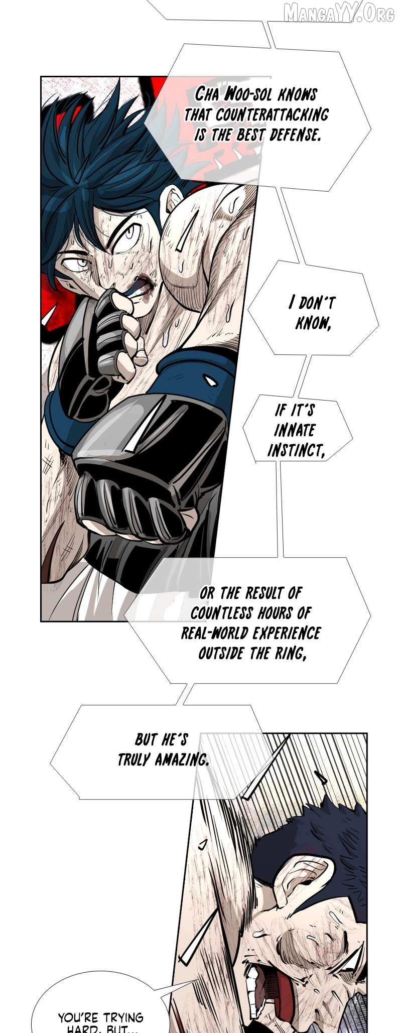 Read Shark Manga Online