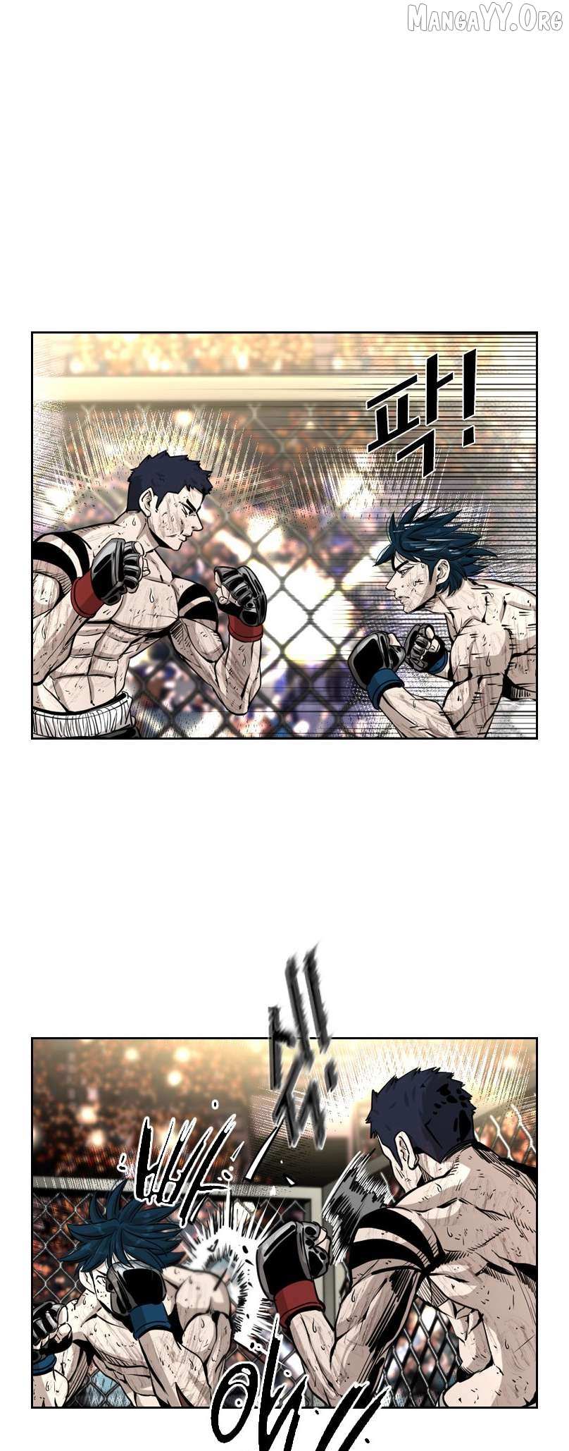 Read Shark Manga Online