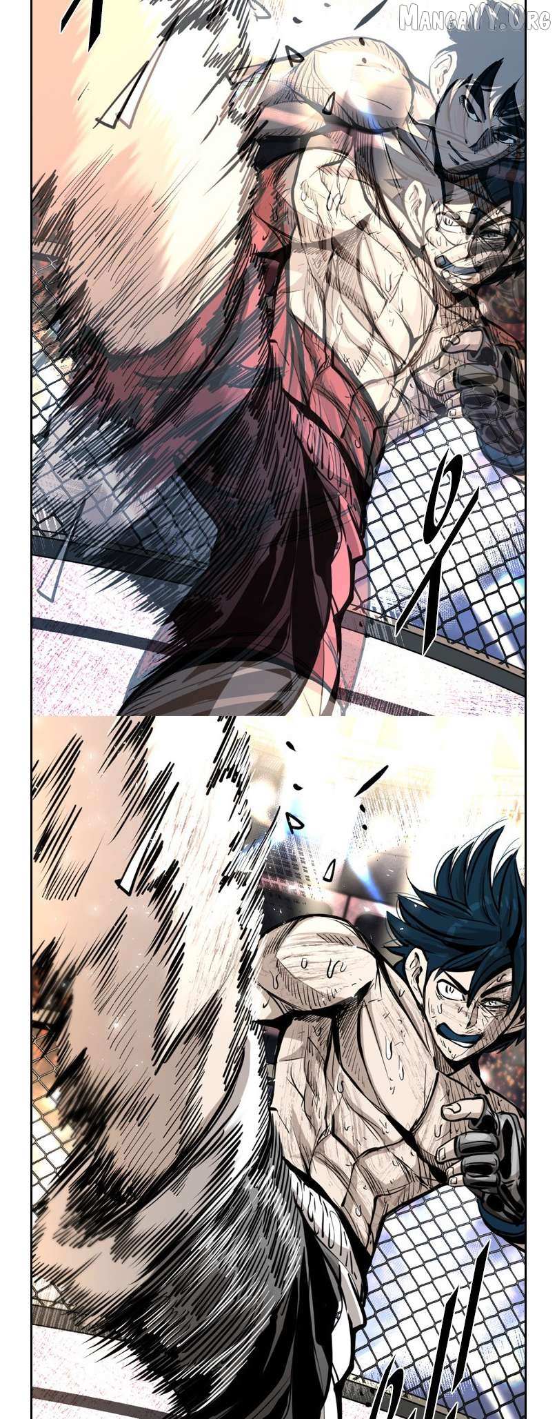 Read Shark Manga Online