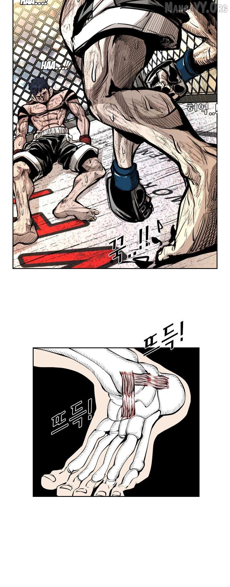 Read Shark Manga Online