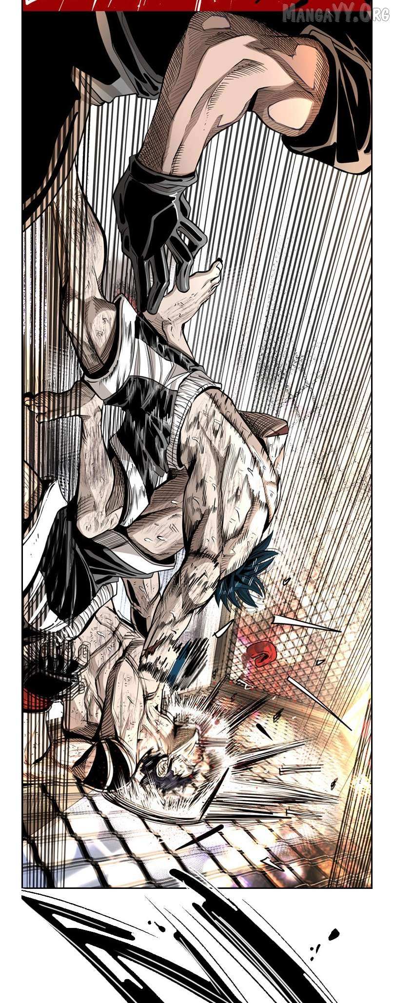 Read Shark Manga Online