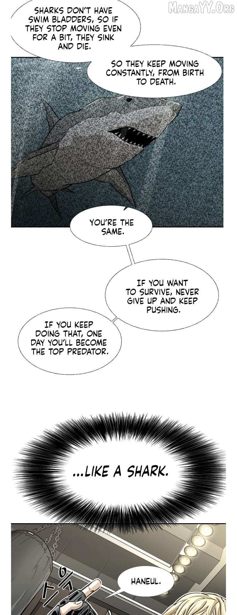 Read Shark Manga Online