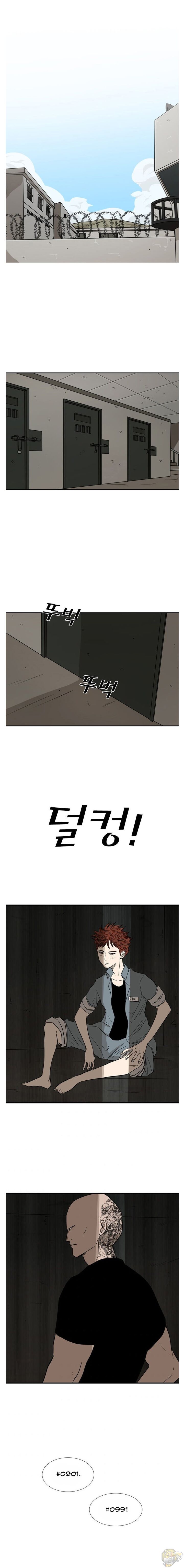 Read Shark Manga Online