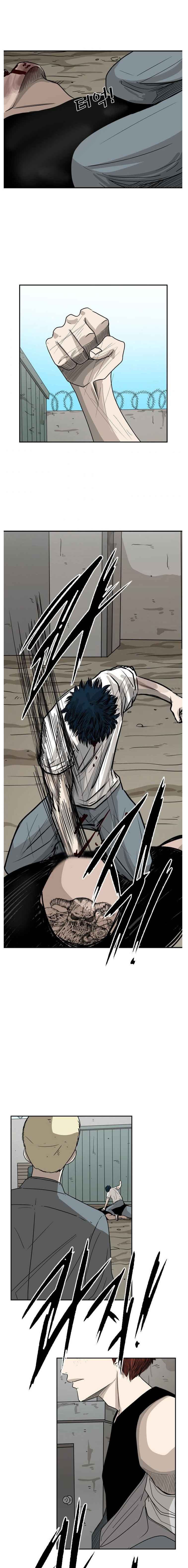 Read Shark Manga Online