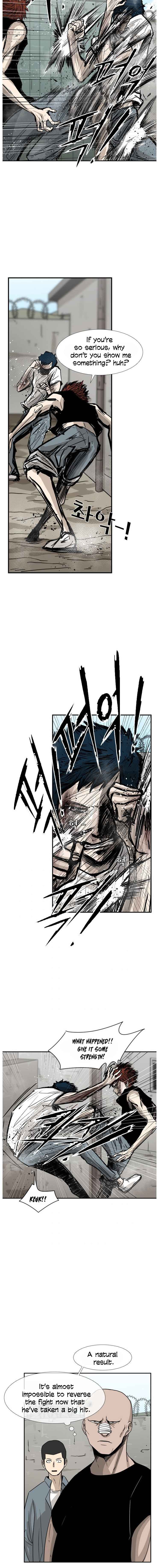 Read Shark Manga Online