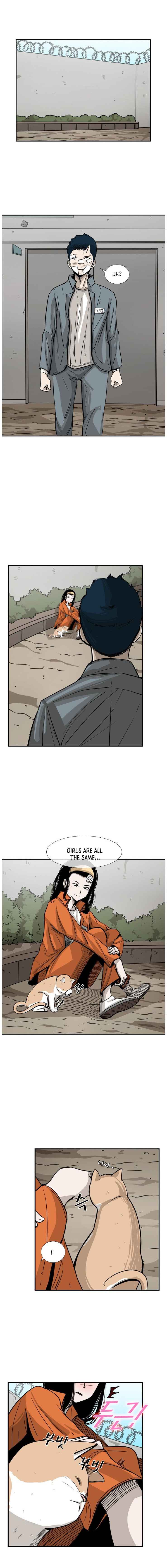 Read Shark Manga Online