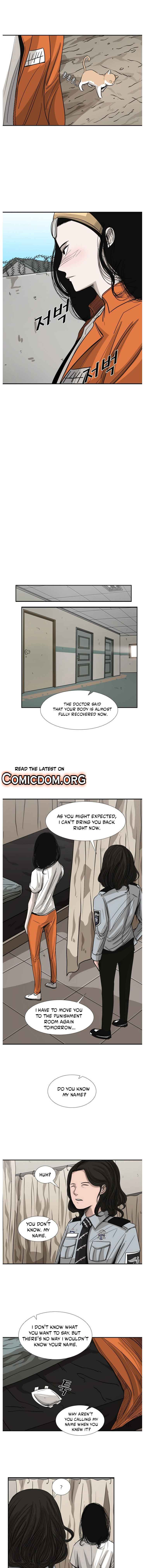Read Shark Manga Online
