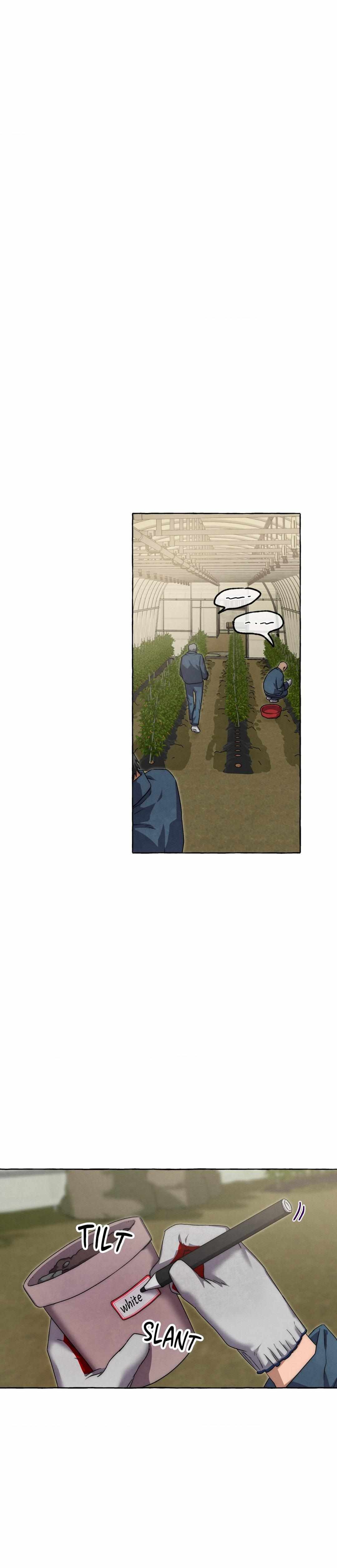 Read Slammer Dogs Manga Online