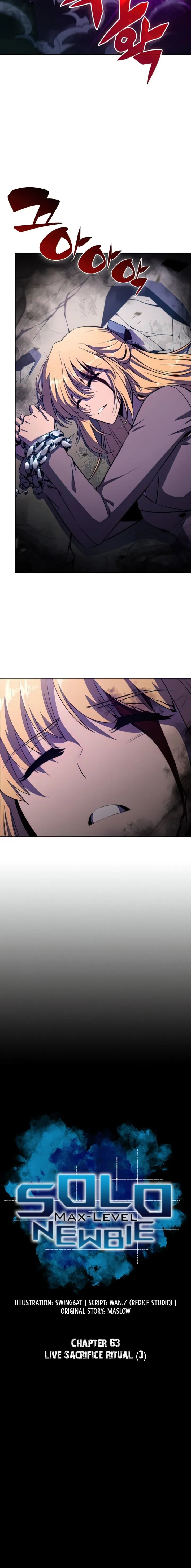Read Solo Max-Level Newbie Manga Online