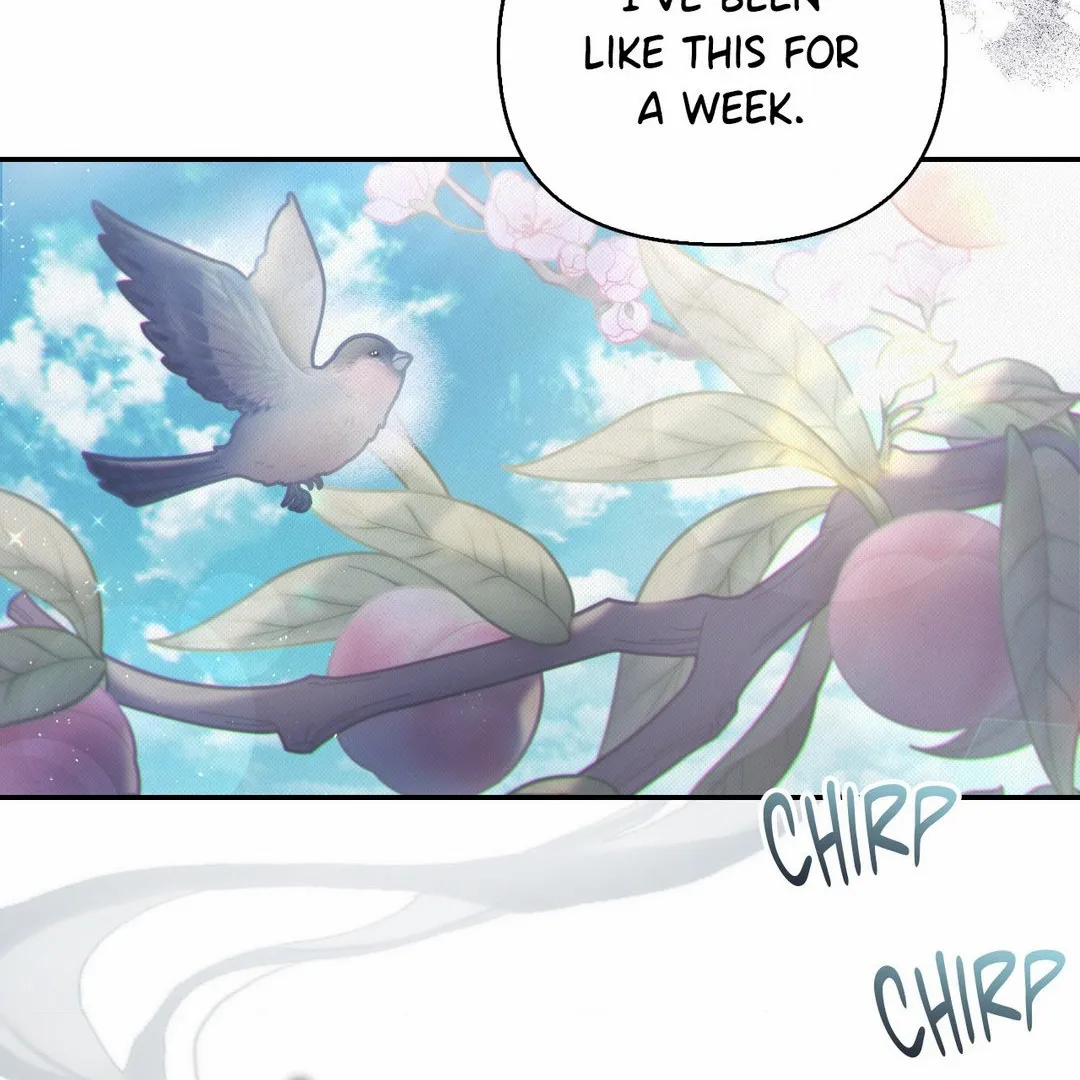 Read The Queen’s Secret Lessons Manga Online