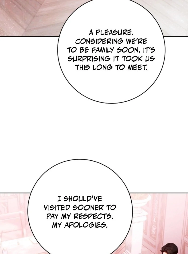 Read This Marriage Will Surely Succeed Manga Online