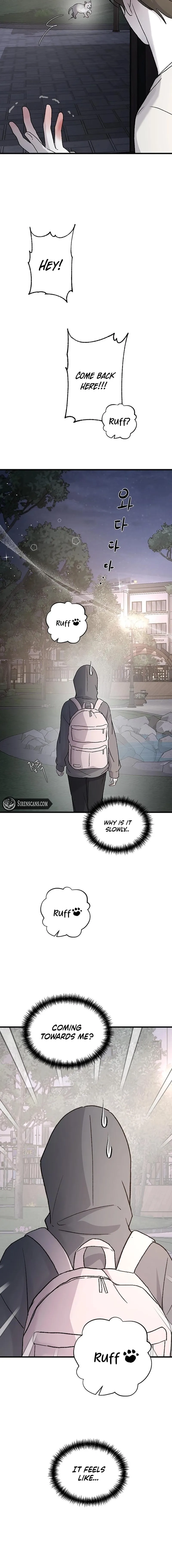 Read Three Brothers Manga Online