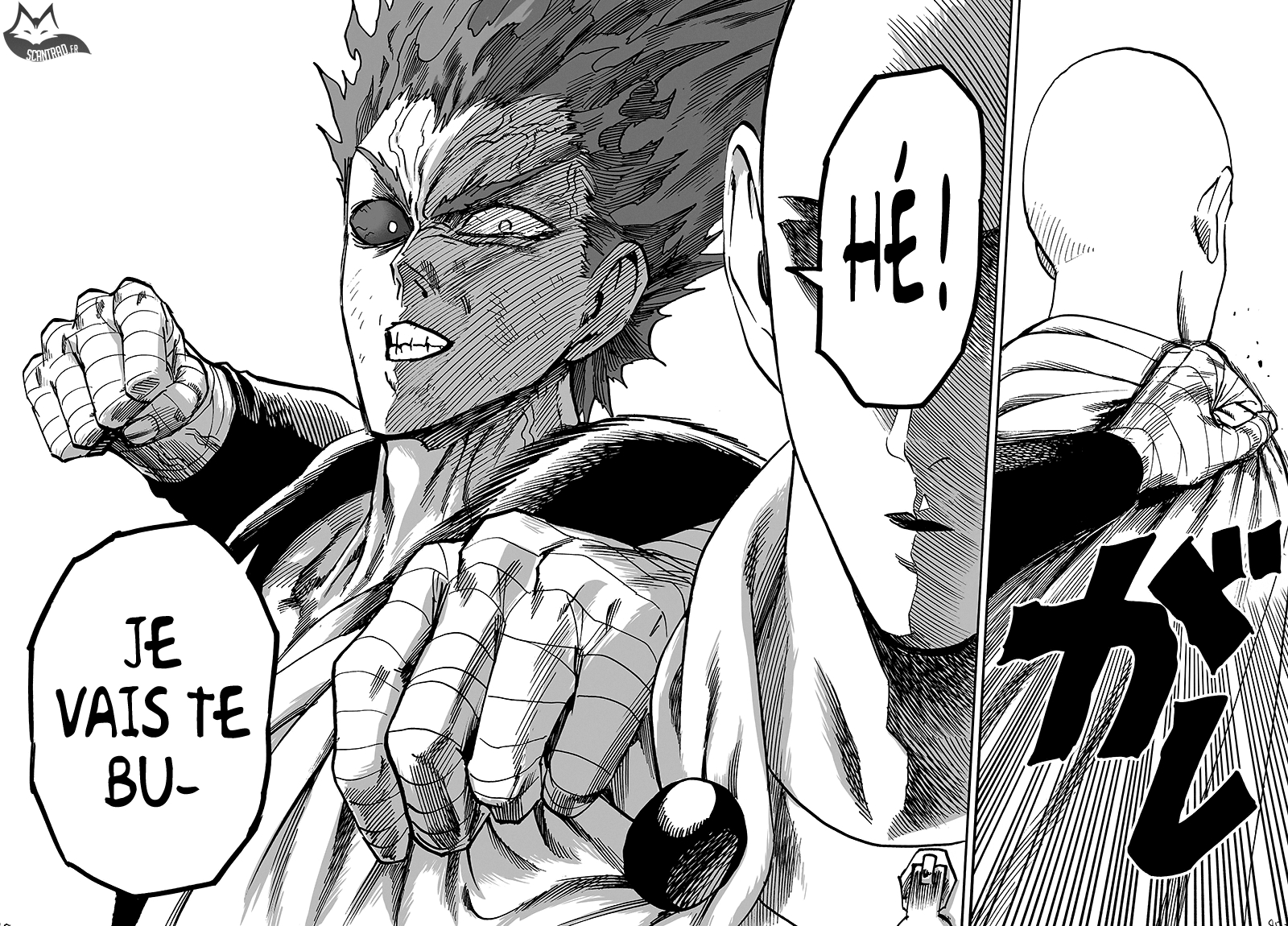 Read One Punch man (fr) Manga Online