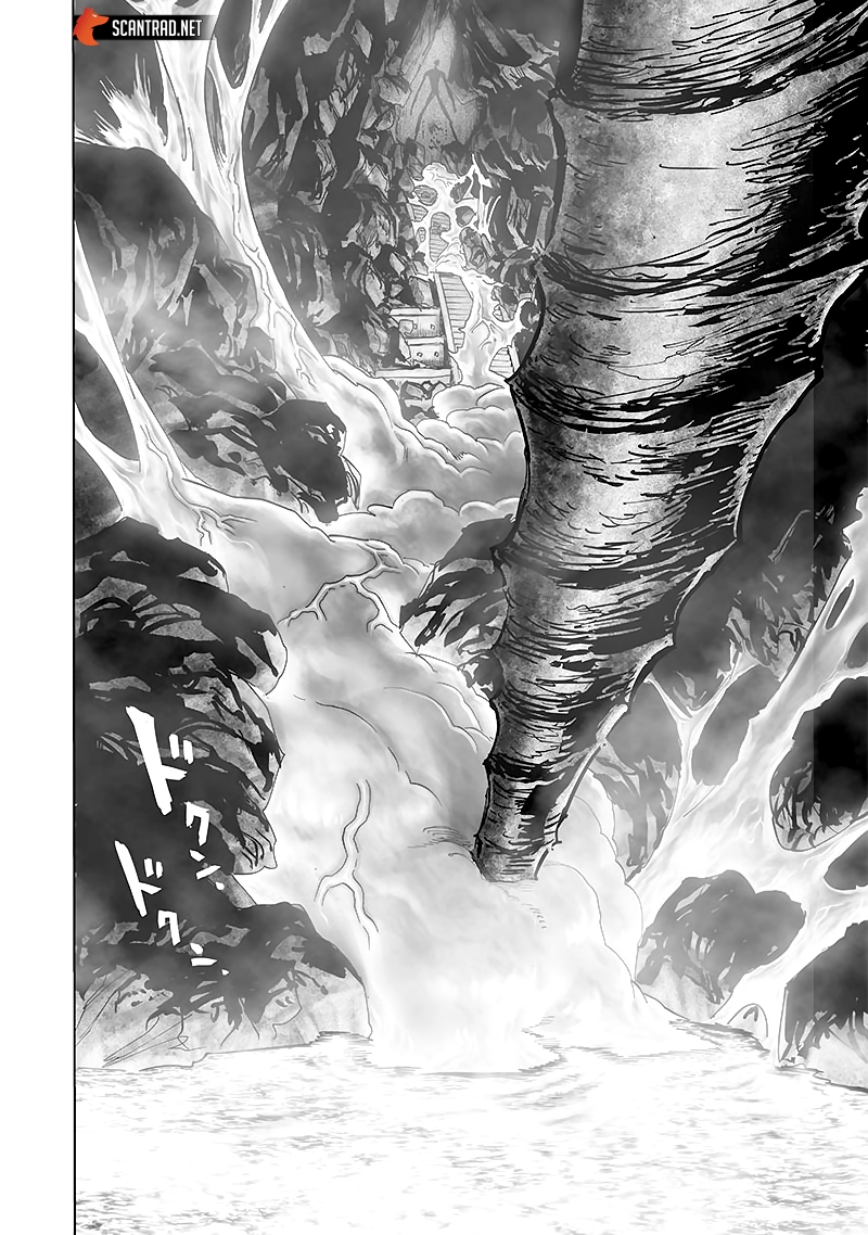 Read One Punch man (fr) Manga Online